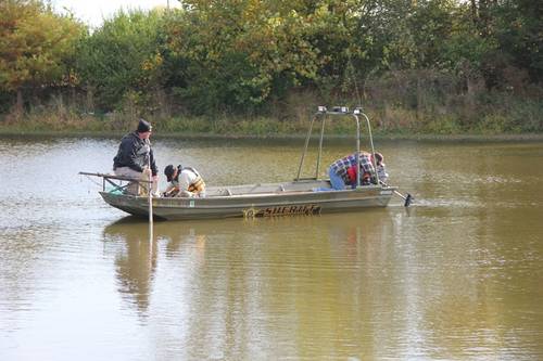 Knox County Investigators